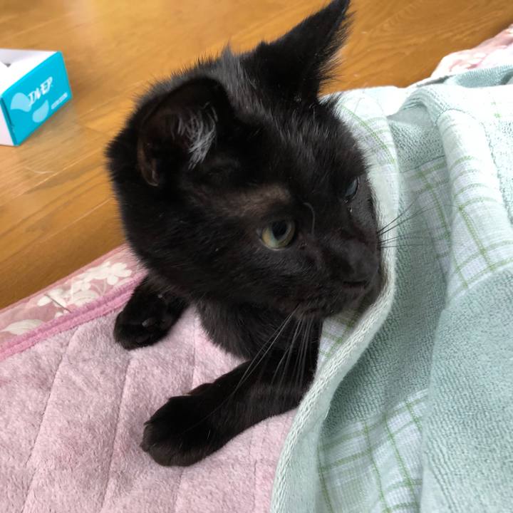 B3b87c3e 6fd4 4c00 ae43 e6b9a1e27945 1562884155488