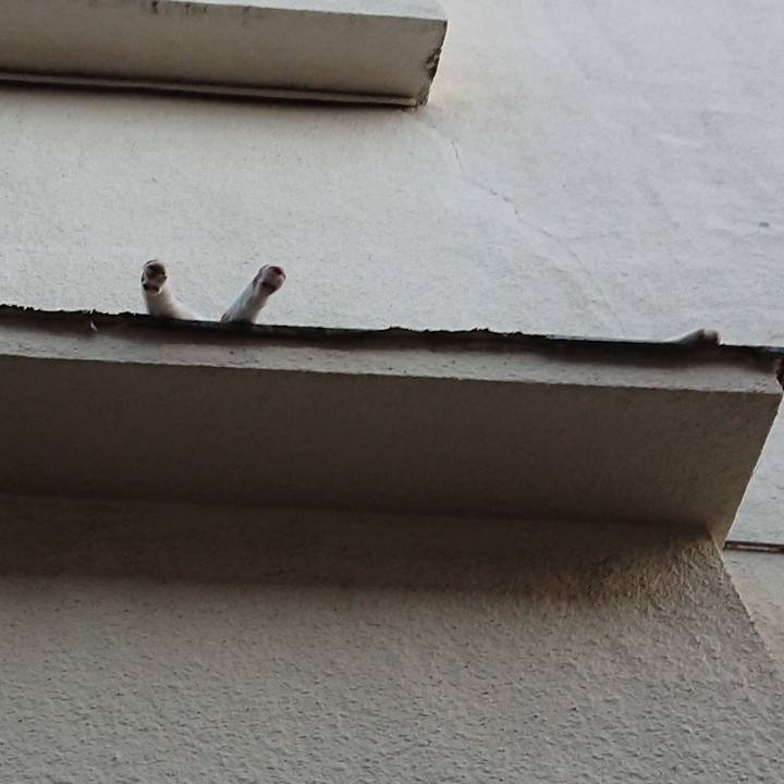 B3b87ca2 59d9 4cfa b89b ad01932068e3 1692523491182