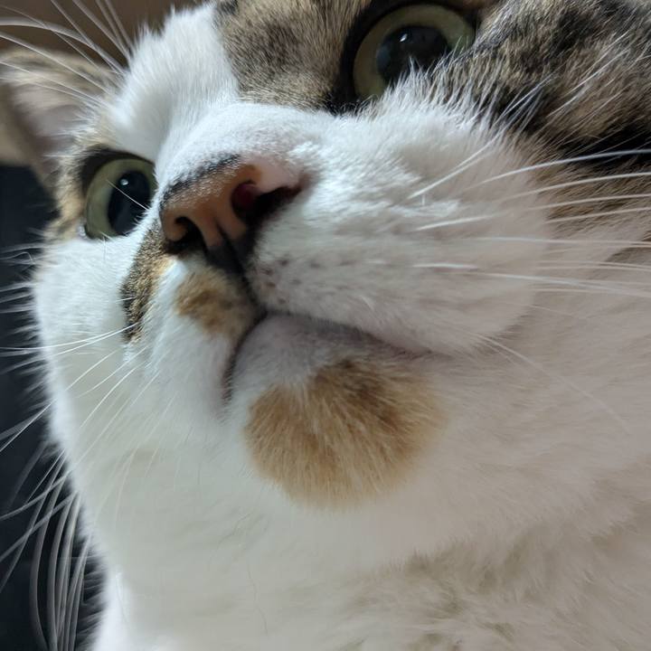 B3b8c63d 8d2a 4253 b4d6 03dfd9914606 1725710627737