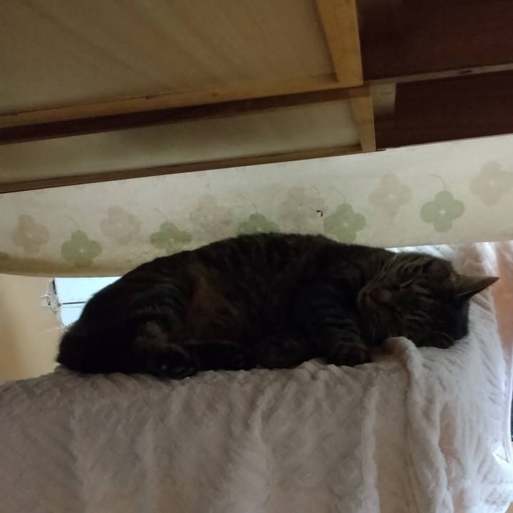 B3b90f8e ead4 41b8 902c de6991ab7543 1672281920960