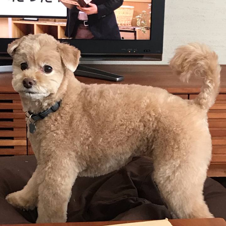 B3b91d02 2b8f 48ce b62a 394394c23e7d 1556362182239