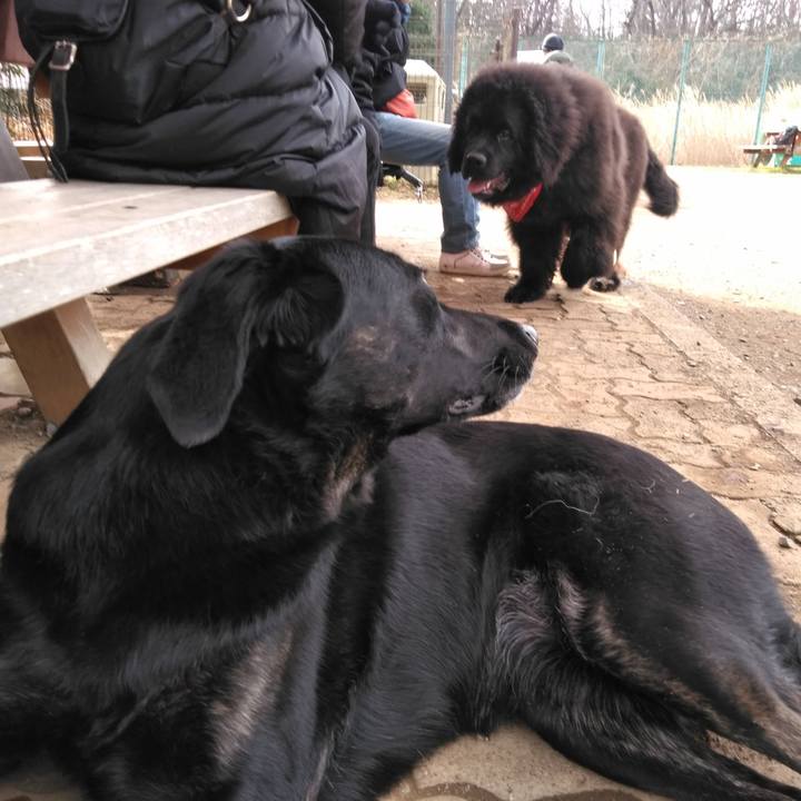 B3b91df8 1ab0 4394 a472 0b474be929e6 1578798117185