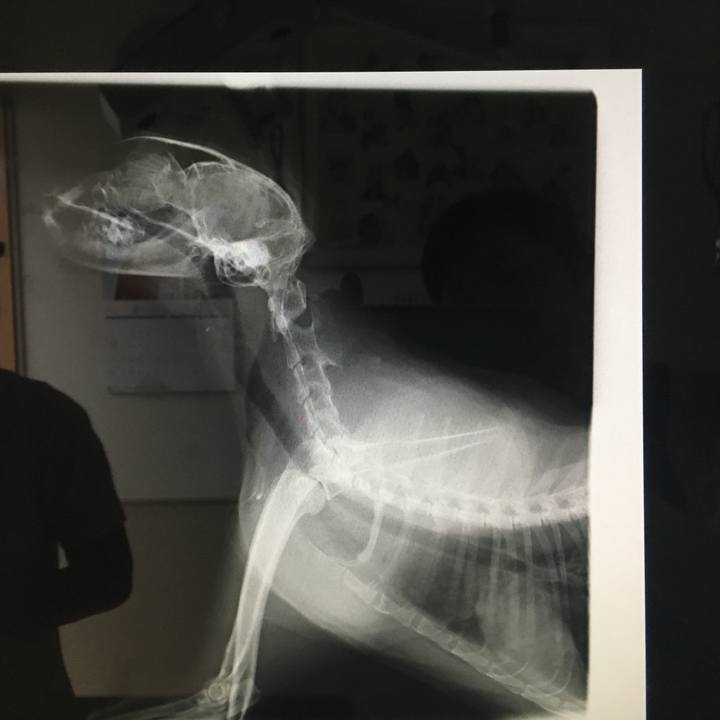 B3b94ed7 d993 4403 8556 b6f03fcf7d5b 1530251683338