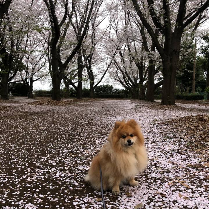 B3b9882f ad02 42a8 856b ef2beb835cdf 1617142632925