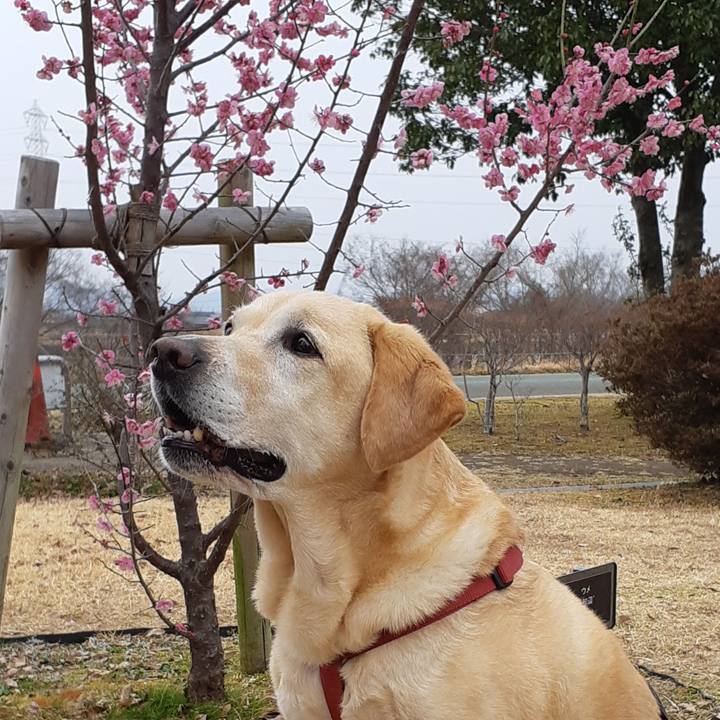 B3b99497 beb5 4b44 aadc 09a47a44a5c0 1647176490144