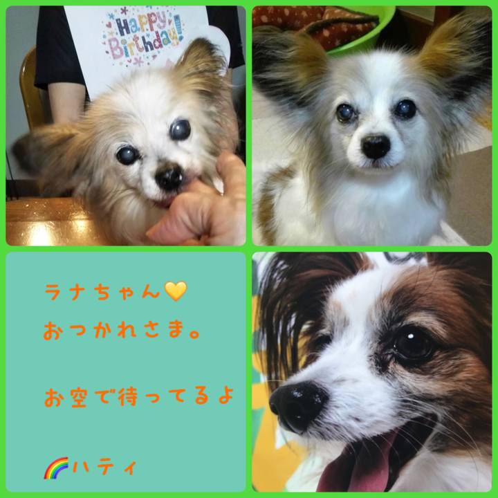 B3b9ad70 c8b7 426f 9192 bfefc7bcbd91 1594642672061