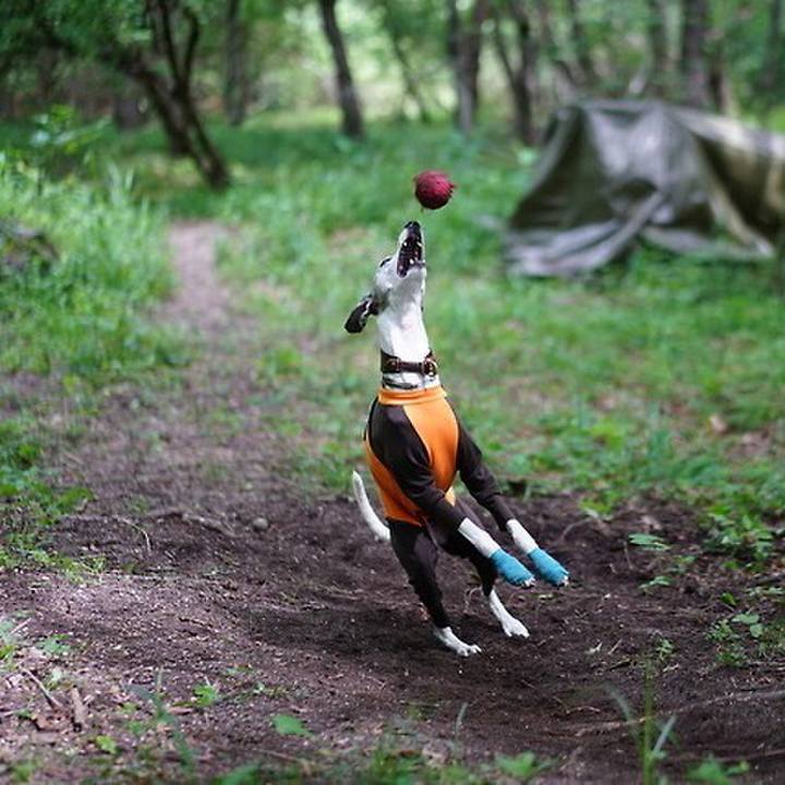 B3b9d37e 3877 435e 8108 6c94914d8b8b 1532436235587