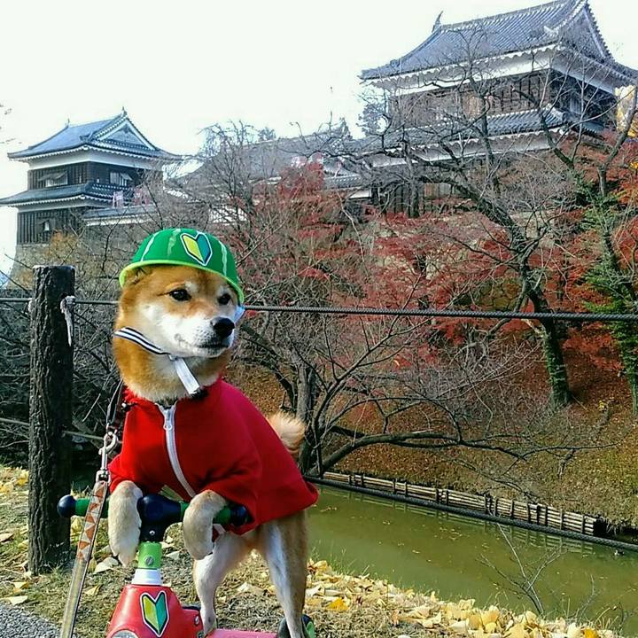 B3b9e746 1bcd 47d7 9b47 27c0efbbc549 1574410068436