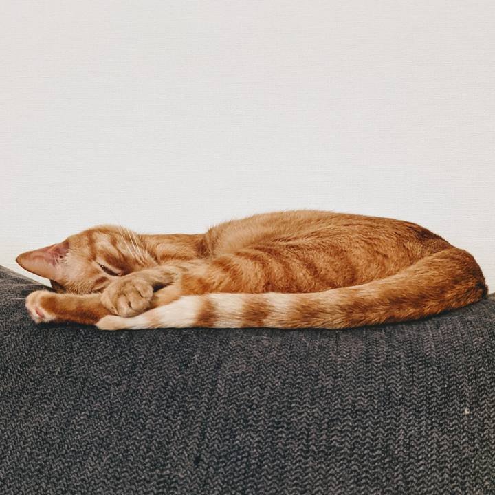 B3b9fcfb 07e1 41ea b5b1 7283edcacbf3 1622895465318