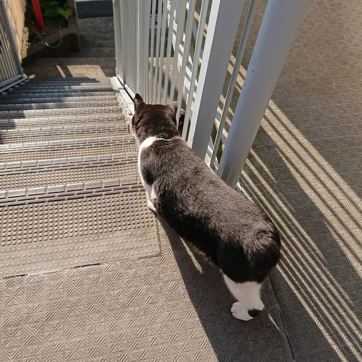 B3ba32e5 fa1b 44e7 b9e2 600a6961208e 1528077668724