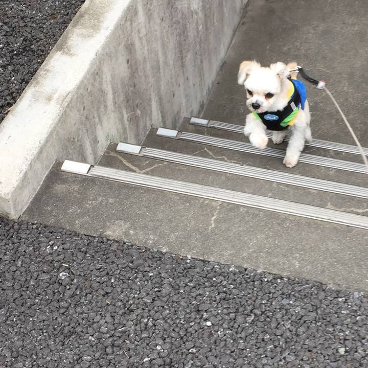 B3ba33fb 3c18 4aa4 a631 bf9f82bfb4e3 1544160580660