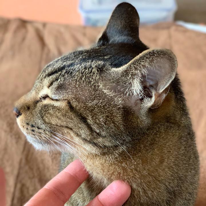 B3ba3622 ab61 40e3 977c c5eb25561ed7 1550367171979