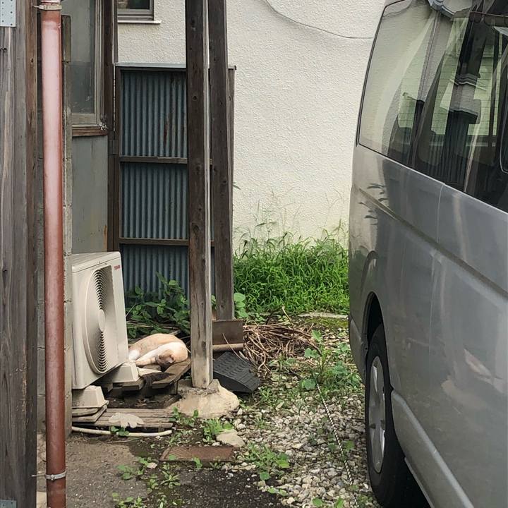 B3ba46b6 fa67 4caf 8dea 6fc58546eea9 1599967361417