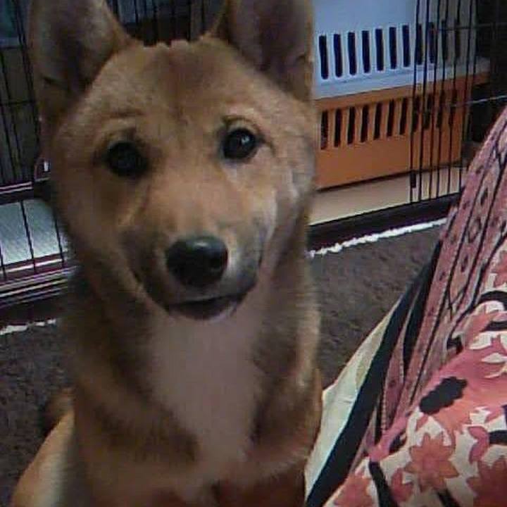 B3ba5456 24b9 464d 9900 77365945976d 1617276809802