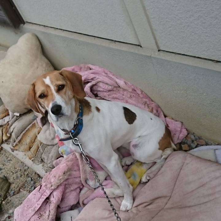 B3bab450 ce9c 4059 b9c5 201d550ef540 1574990837350