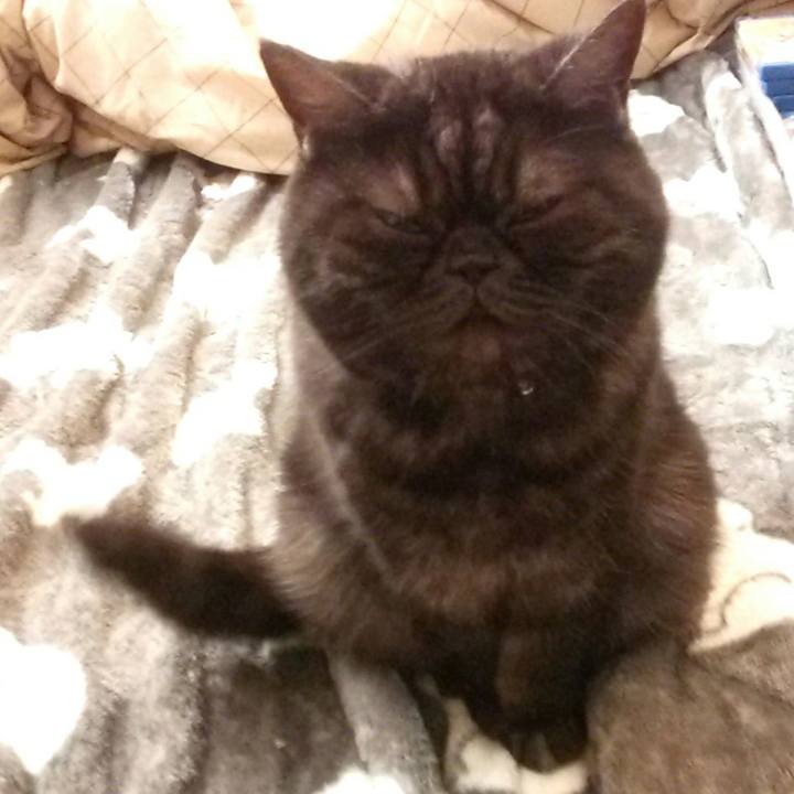 B3bac5dd 380c 4f0c ac6c 94460c01bbd2 1514953116822