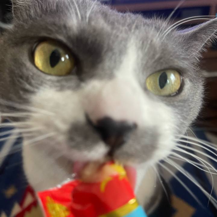 B3bb0ae6 117a 4517 9c55 8efdac227be7 1678258342956