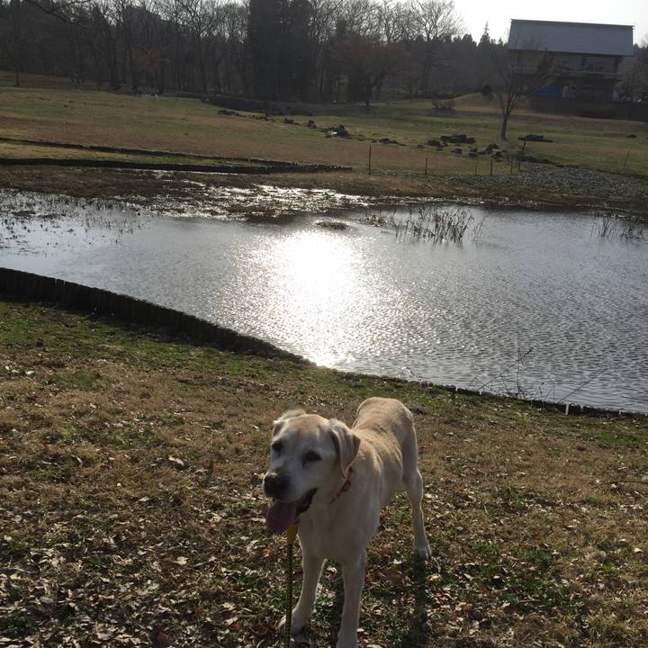 B3bb245d 3bad 49d6 861c 8b6a5287b060 1522741327864