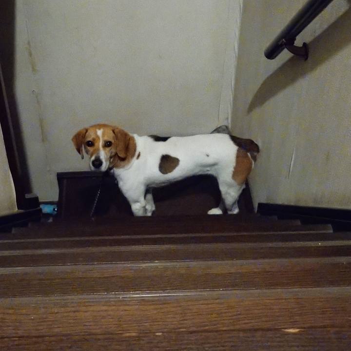 B3bb3728 bf03 4532 8798 518bc55b63d2 1589552520639