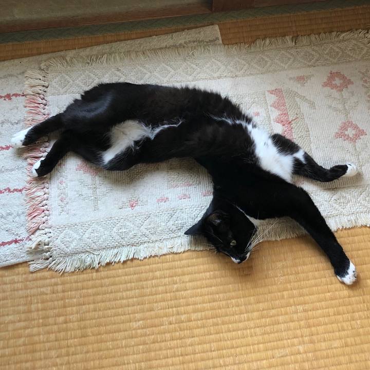 B3bb43a3 e151 452e b839 51e1fa024427 1598499315325