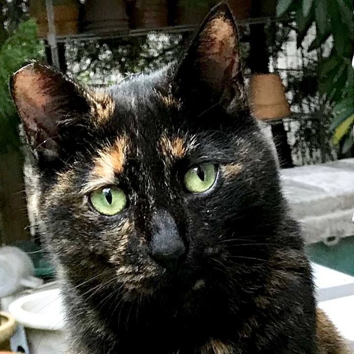 B3bb6065 1dbe 4676 9f3b 9b20abc44190 1539393210559