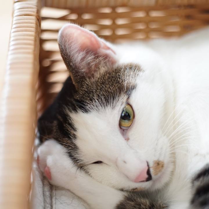 B3bb8854 9a15 4bf8 91a0 4ba11e101f25 1529623337030