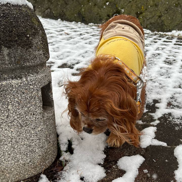 B3bb8e28 b35f 442f a3f6 c0b254706cf1 1770509872055