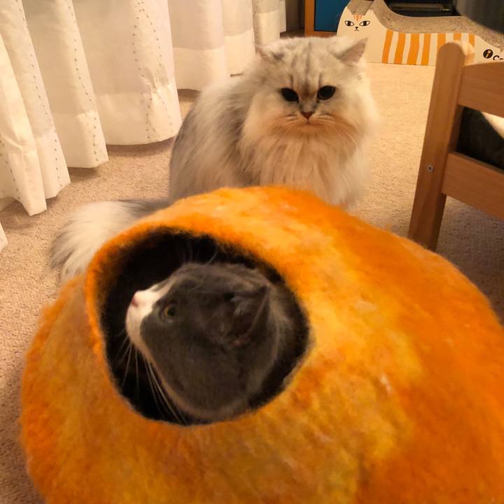 B3bb9dbc c85f 48f4 ada8 1e670d36e327 1544617186666