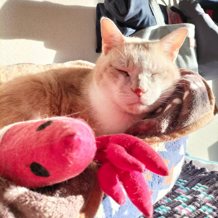 B3bbaa4c 2c91 4190 9fda 5b8aa742c5d0 1669934023481