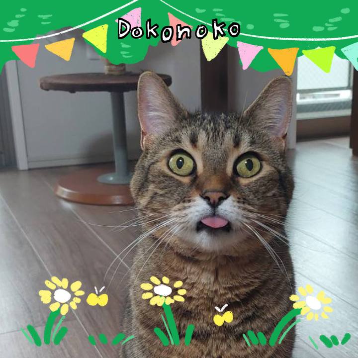 B3bbbb97 5b91 4c60 a01c b6920ee0c4fc 1711145865327