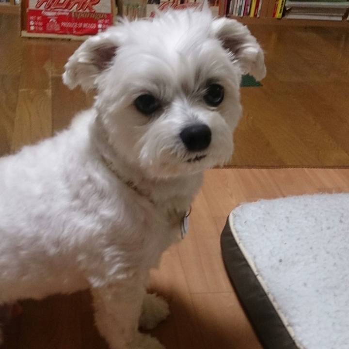 B3bbea32 b736 4734 b2ee 635e0fc6cf58 1522416919770