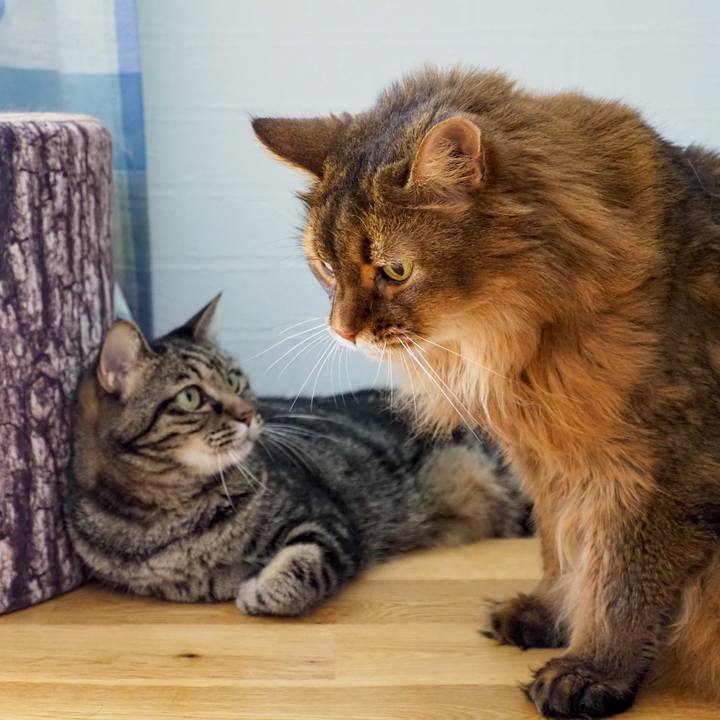 B3bbf718 13de 42b5 9ae1 0e54e4c351bc 1757476643734