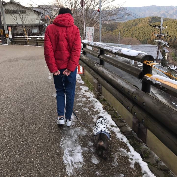 B3bc0fc6 40e6 478e 979d 9808003ff041 1515929501252