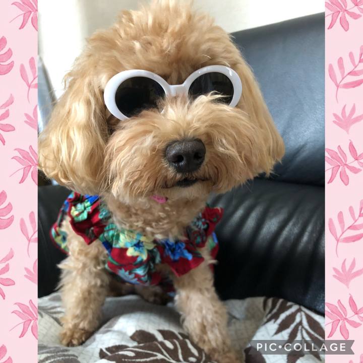 B3bc3fa9 c3c4 45b4 972a 4a226d5a0f23 1659955714703