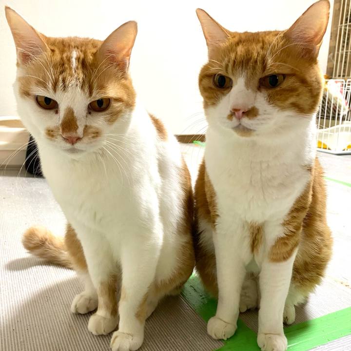 B3bc5333 9103 4541 90b1 2fbed8a18038 1696889967686