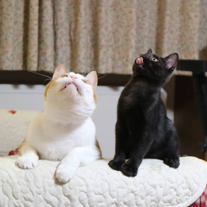 B3bc72de f3b3 4d37 bf6a 56137008d070 1565612830758