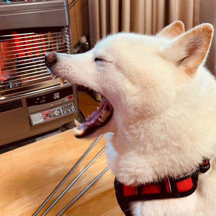 B3bc7835 e8ad 4819 a0ac e6a640e2ff67 1610951966445