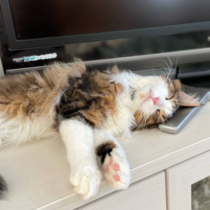 B3bcaf95 4956 466c a2f2 65bbee8ccd35 1642209564132