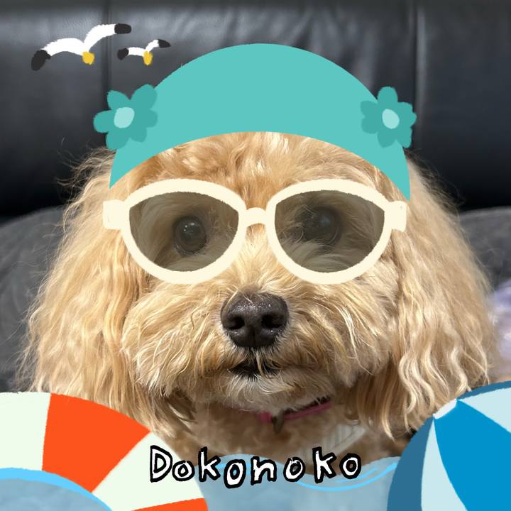 B3bcc4a5 e997 4a05 a934 415117061a91 1723701847275