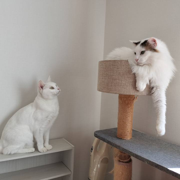 B3bce64d 31c6 48eb 94ef 13fb0f6bd814 1763943646526