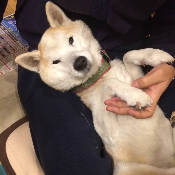 B3bd42ca c0b3 48b6 bb70 c4267f3dc96c 1582034332653