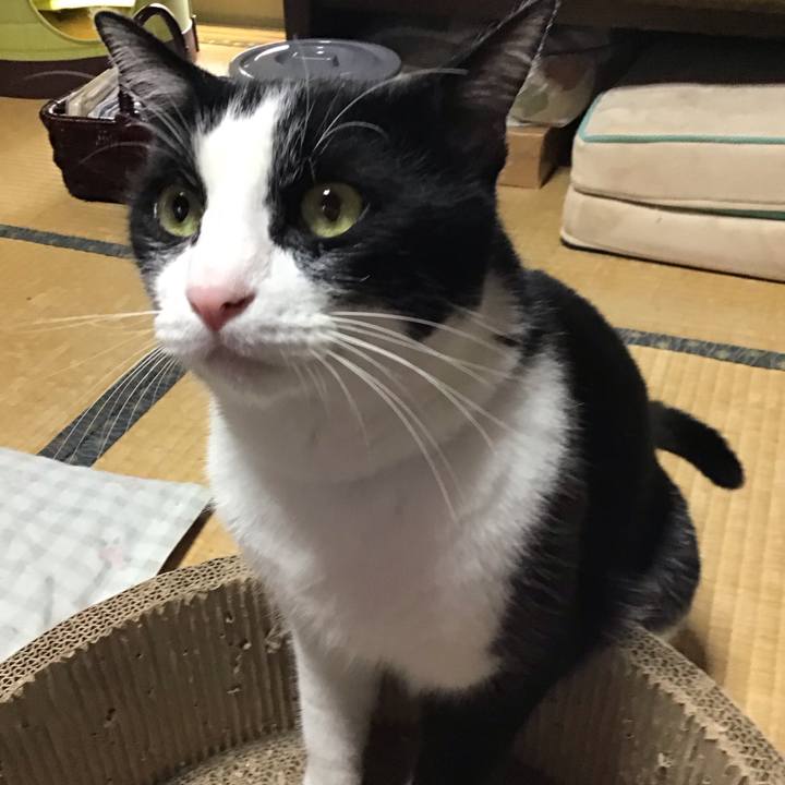 B3bd9095 74d4 45ba ab11 9b13639ce942 1723460831479