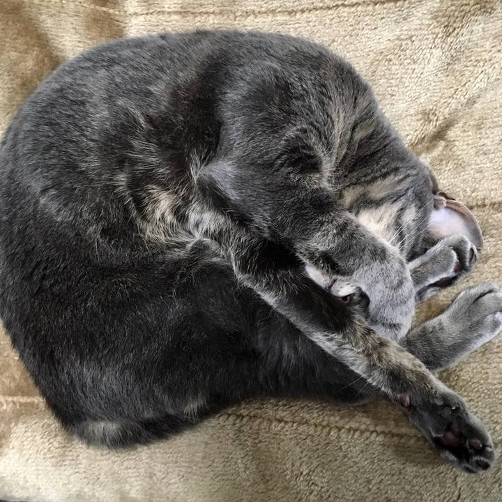 B3bdb282 ba5a 4880 9b56 aba8fae87fd8 1561813365108