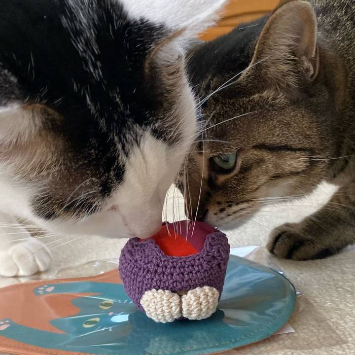 B3bdbbd3 8d64 40d0 b661 22d2506e9c9f 1765609745276