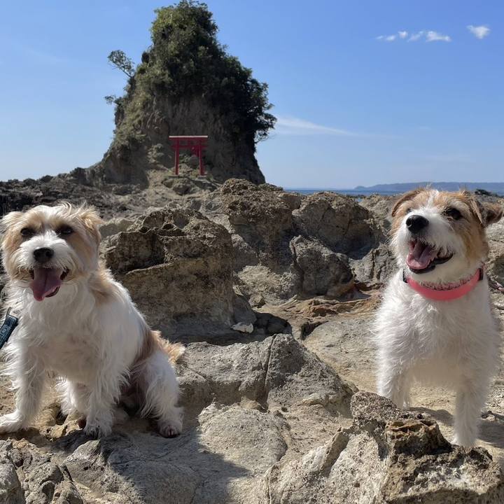 B3be0e45 f6d4 4633 a4c2 b0a5e7fdd638 1697235526487