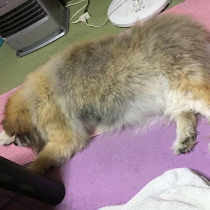 B3be566f 0063 470b 8d6c ff97b414f690 1576404932116