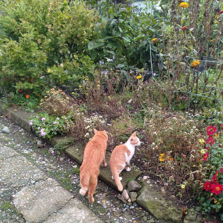 B3be76cc c41a 4db7 b875 37ff2e6d4e4b 1728462300257