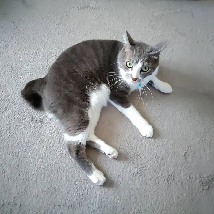 B3beaa32 8427 4b87 893e 9b62bffbdfd5 1662969708894