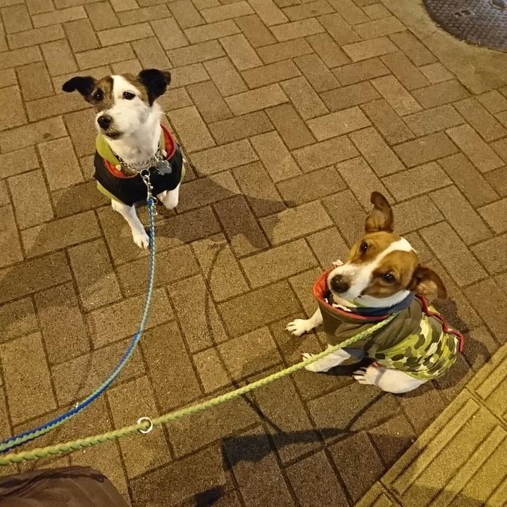 B3bedc3e d103 42f3 b31c 24de984c44cf 1580994531267