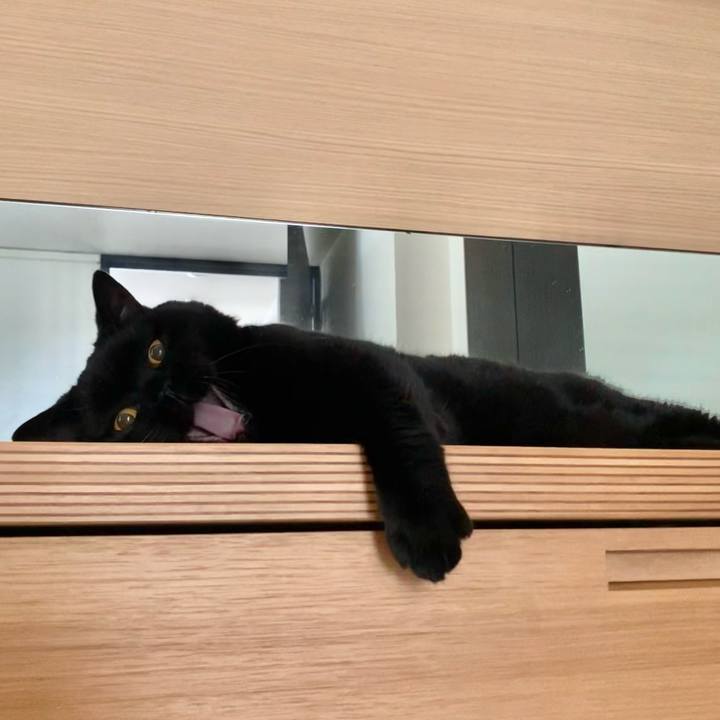 B3bee421 f1b0 4ccf a9d7 a9d6b3c9c1f3 1758342602555